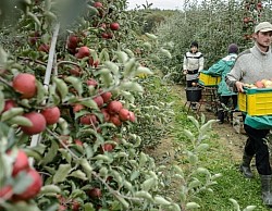 Agricultural Industry